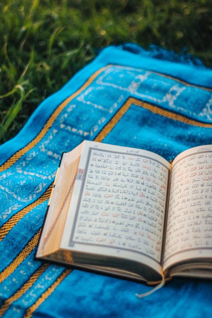 An open Quran rests on a blue prayer mat in an outdoor park setting, capturing peaceful spirituality.