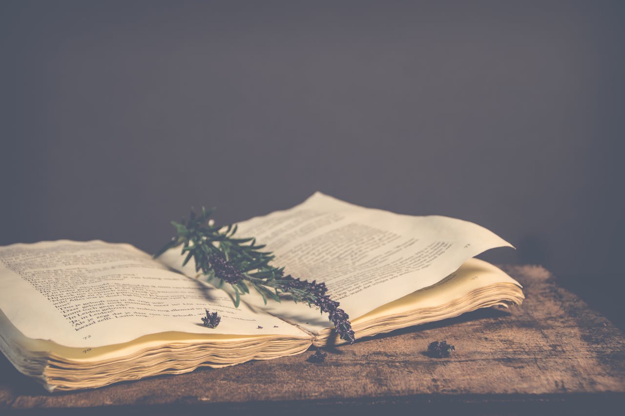 A vintage open book with lavender and rustic wooden background, creating a peaceful atmosphere.